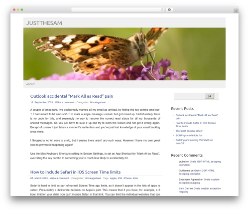 WordPress theme picolight - justthesam.com