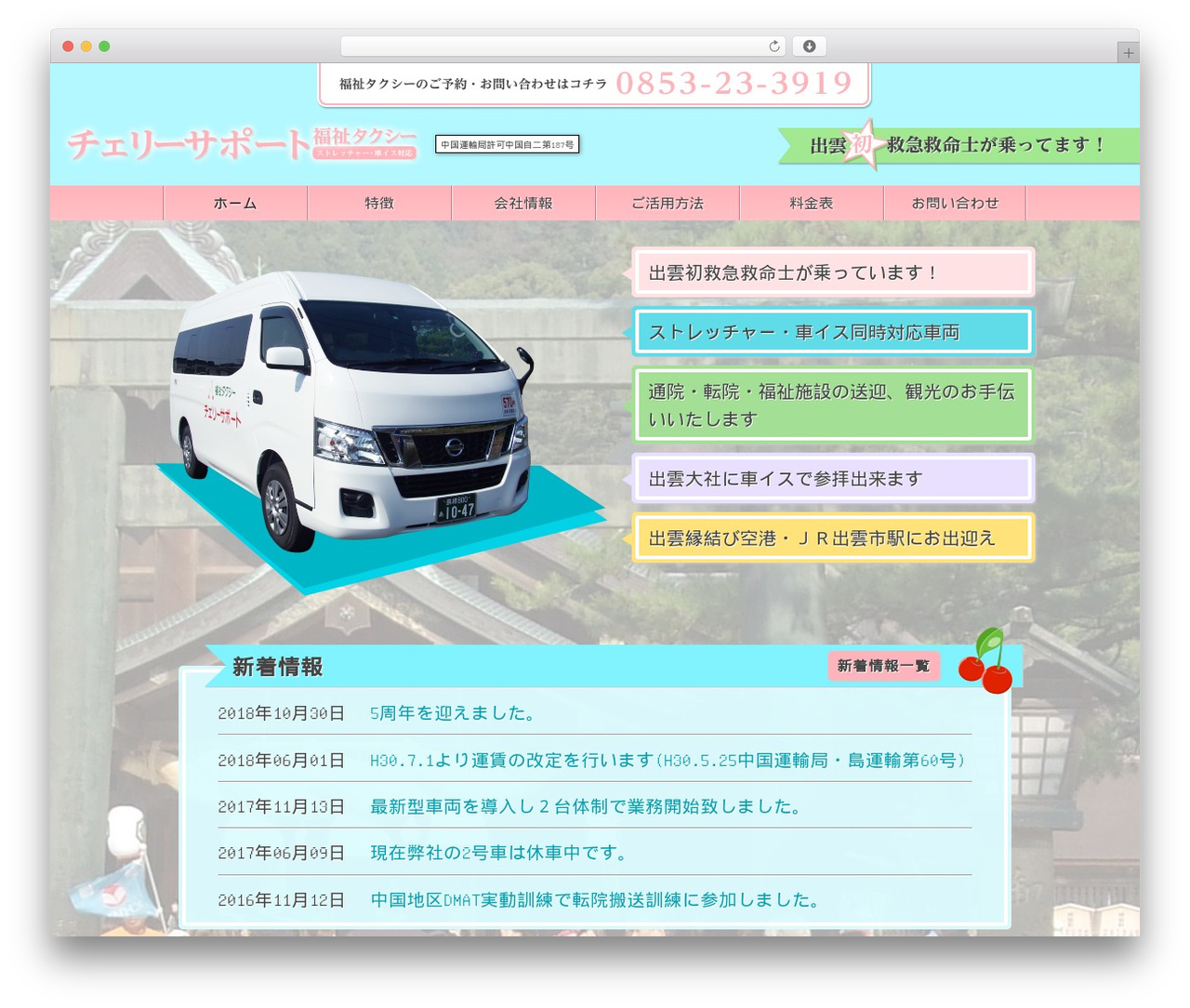 Cherry-support top WordPress theme - cherry-support.com