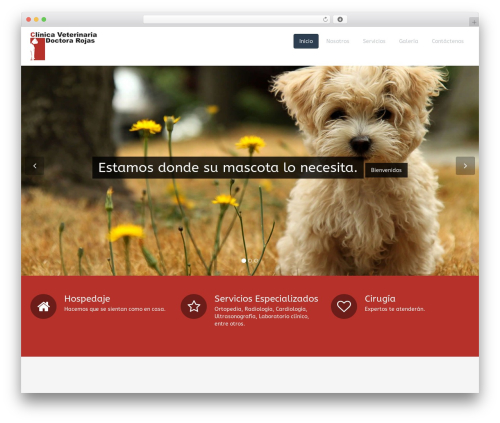 Flat Theme top WordPress theme - clinicadrarojas.com Flat Theme top WordPress theme - clinicadrarojas.com