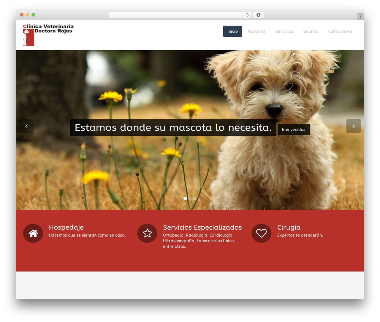 Flat Theme top WordPress theme - clinicadrarojas.com Flat Theme top WordPress theme - clinicadrarojas.com