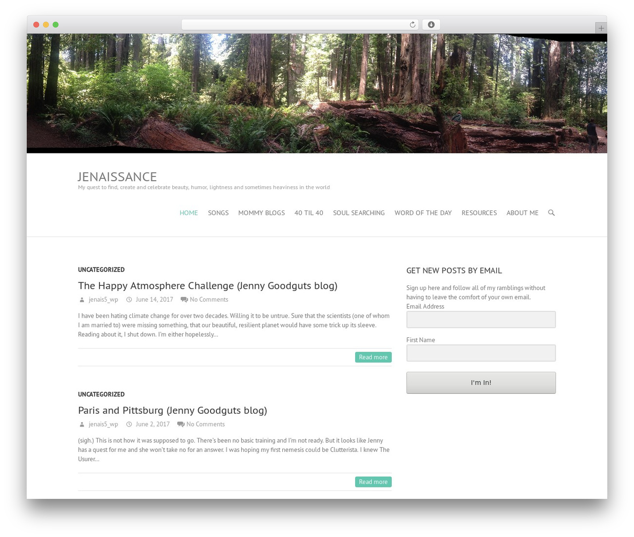 Interface free WordPress theme - jenaissance.net