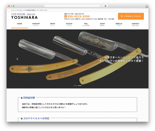 Lightning skin fort WordPress plugin - cuthouse-yoshihara.com