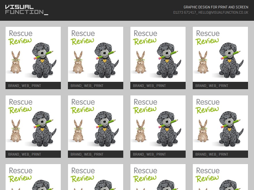 Visual Function theme WordPress by John King
