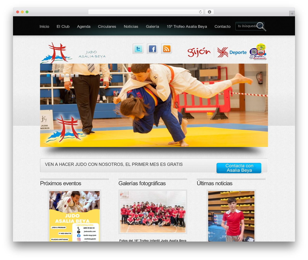 WordPress theme Boldy - judoasalia.com