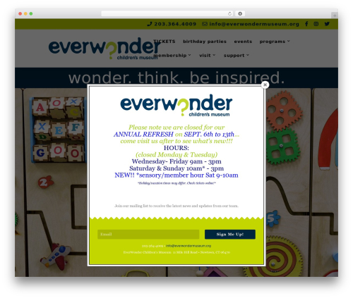 WordPress theme Divi - everwondermuseum.org