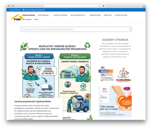 Divi ajax search WordPress plugin - psm.pruszkow.pl