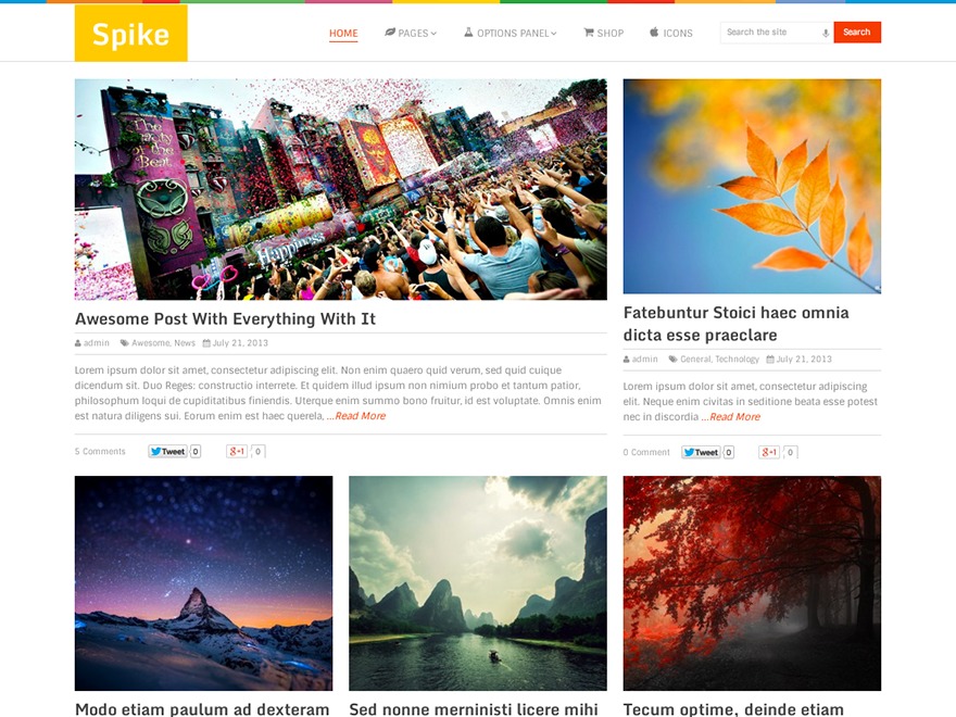 FE Theme WordPress theme design