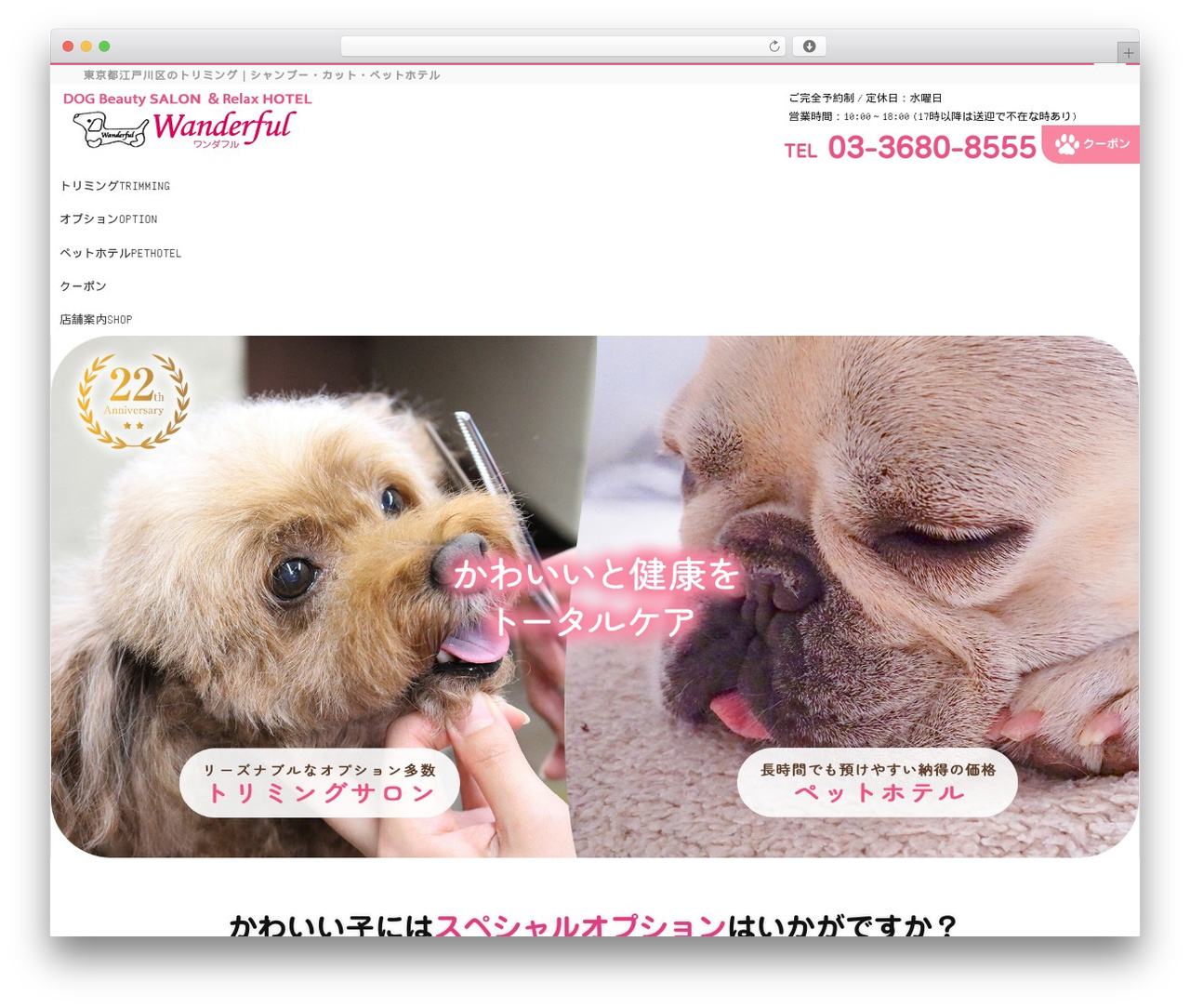 FFC WordPress theme - wanderful.jp FFC WordPress theme - wanderful.jp