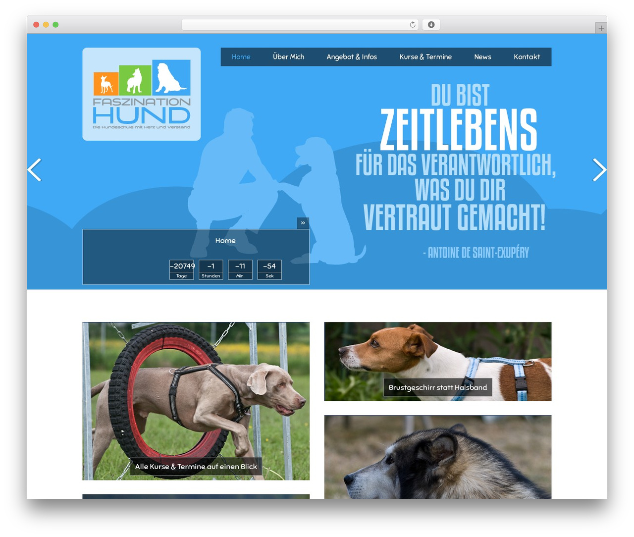 Forked theme WordPress - faszination-hund.at