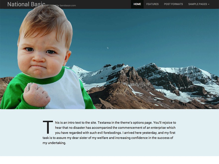 National Basic Child WordPress theme National Basic Child WordPress theme