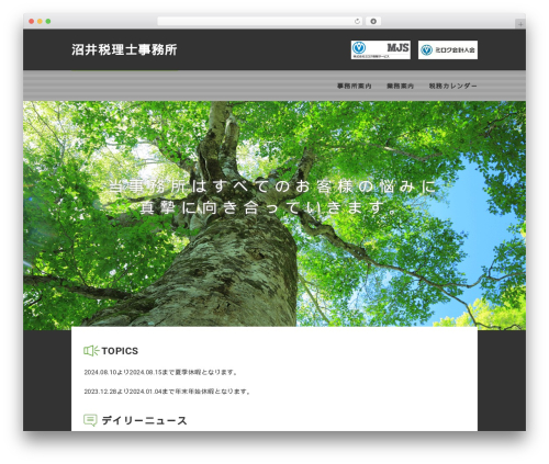 SP002 WordPress theme - numaido.com