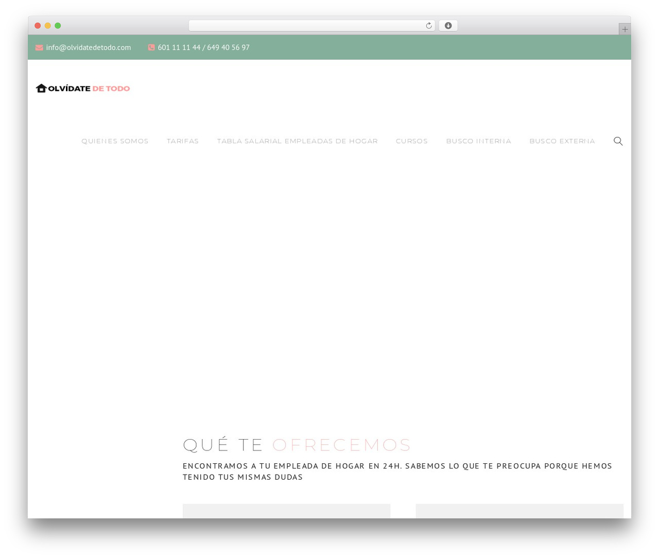 StirPlan WordPress theme - olvidatedetodo.com