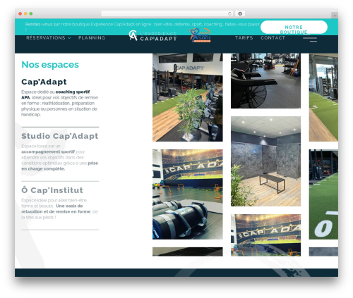 Theme WordPress Cap'Adapt - capadapt.fr