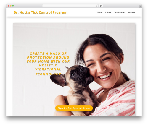 Theme WordPress Divi - tickblaster.com
