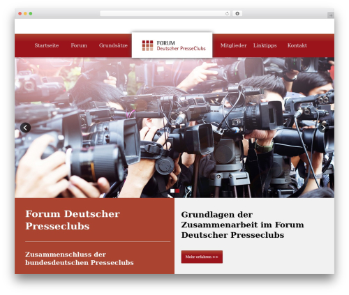 willow WordPress theme - forum-deutscher-presseclubs.de