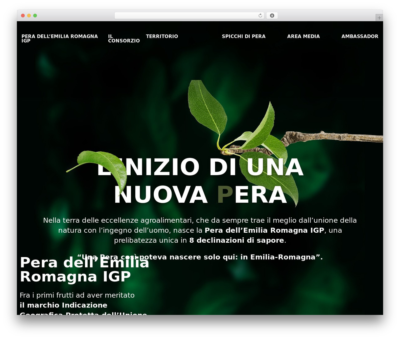 WordPress theme ldb - peradellemiliaromagnaigp.it