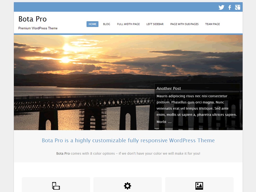 WordPress theme botapro by Ossie Heffell