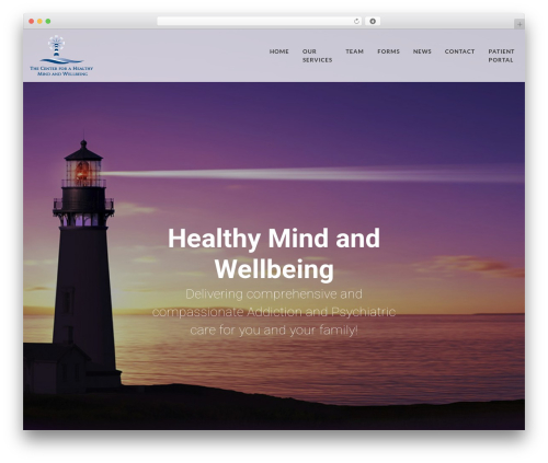 WordPress theme SETUP-HHM - healthymindmd.com