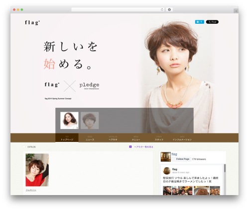 WordPress website theme aTheme - flag-hair.com