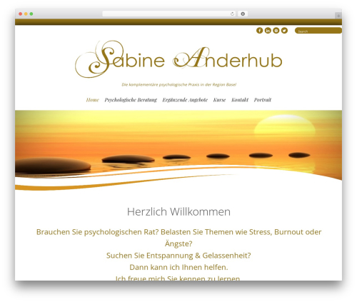 Video player WordPress plugin - sabineanderhub.ch