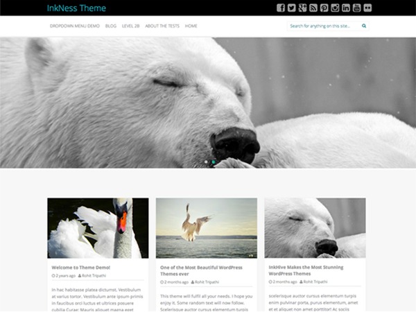 optimizer2014 theme WordPress by Optimizer Inc.