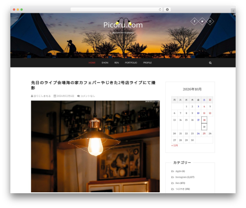 Wp rakuten link WordPress plugin - picoru.com