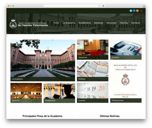 Ajaxy search form WordPress plugin - rascvet.es