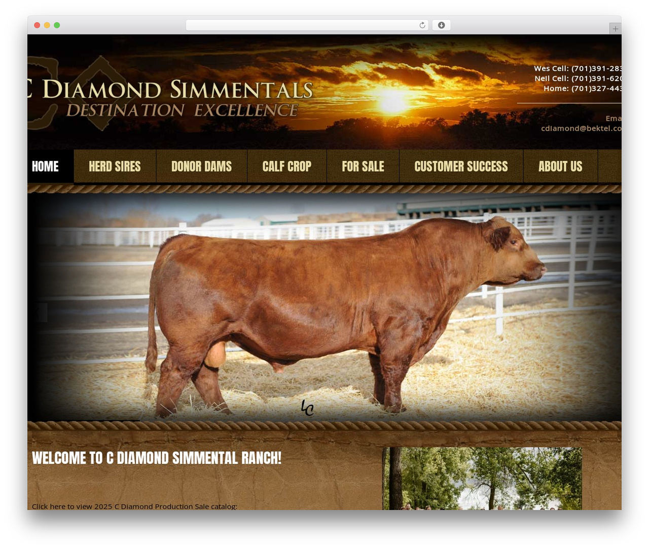 Theme WordPress cherry - cdiamondranch.com