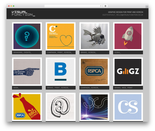 WordPress website theme Visual Function - visualfunction.co.uk