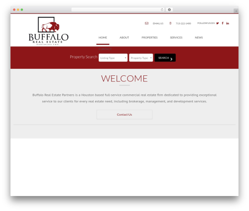 WP Default WordPress theme design - buffalorep.com