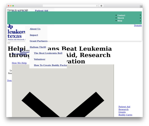 Embed any document plus WordPress plugin - leukemiatexas.org
