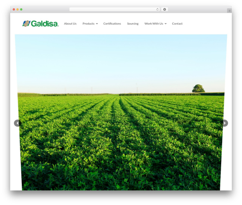 Wpforms captcha WordPress plugin - galdisausa.com