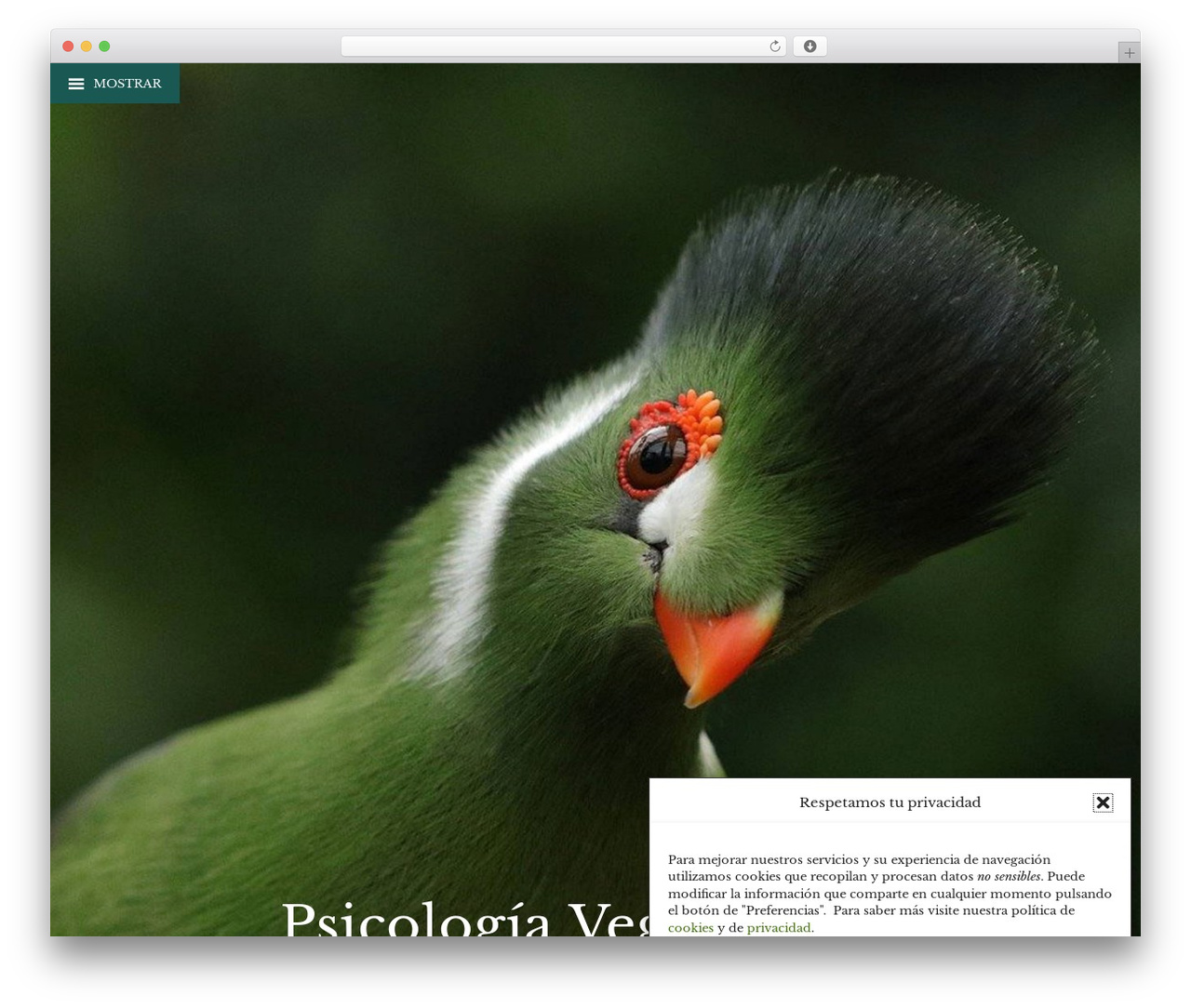 Psicologia Vegana WordPress theme - psicologiavegana.com Psicologia Vegana WordPress theme - psicologiavegana.com