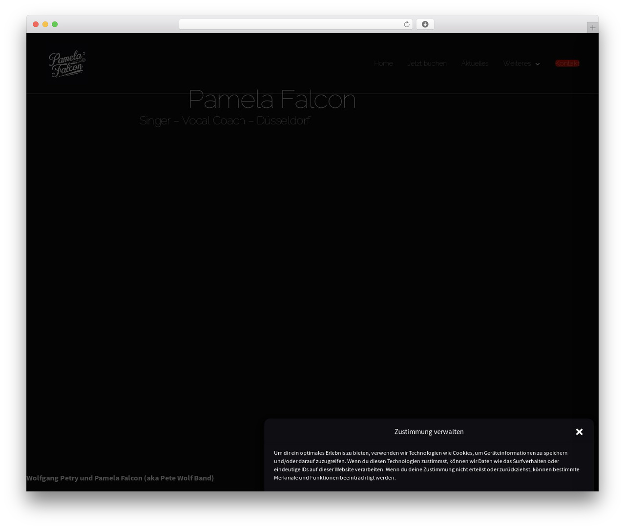 Quylo WordPress theme design - pamelafalcon.com