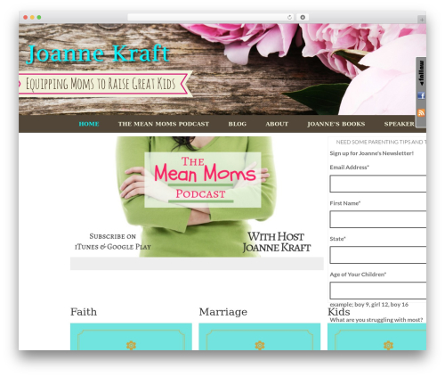 WassUp Real Time Analytics (wassup) free WordPress plugin - joannekraft.com