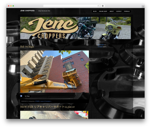 WordPress theme Modularity Lite - jenechoppers.com