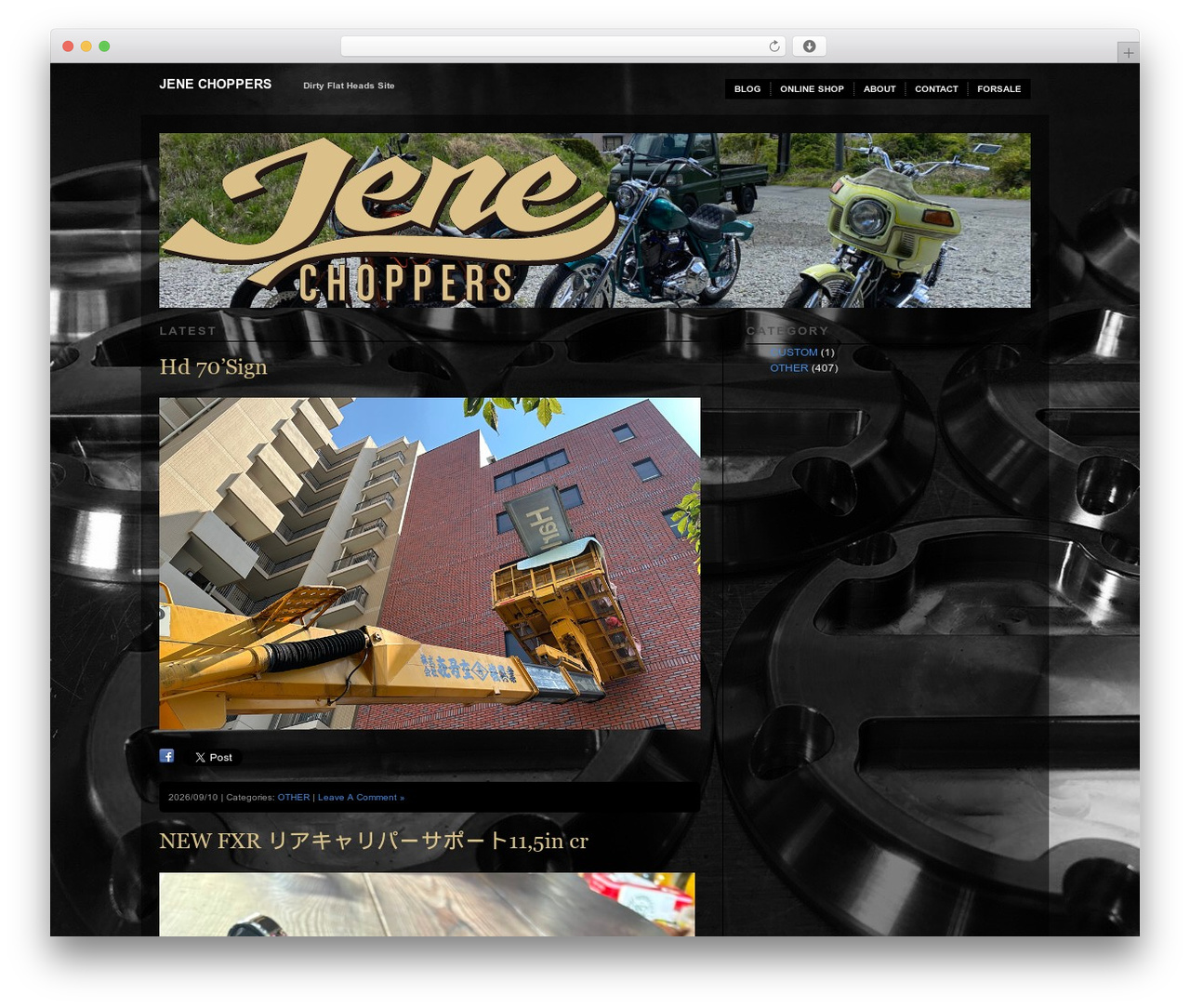 WordPress theme Modularity Lite - jenechoppers.com