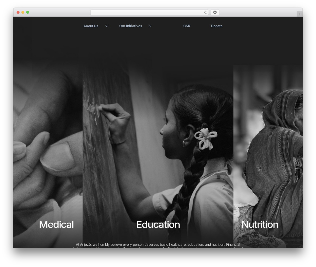 WordPress website theme Divi - anjeze.org WordPress website theme Divi - anjeze.org