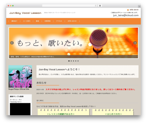 FSV BASIC CORPORATE ORANGE WordPress theme design - jun-bay.com