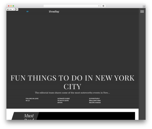 DeVoe WordPress website theme - nycvoyager.com