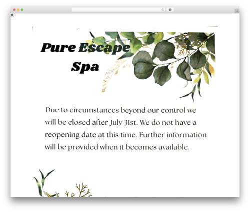 Website Builder by SeedProd — Theme Builder, Landing Page Builder, Coming Soon Page, Maintenance Mode (coming-soon) free WordPress plugin - thepureescapespa.com