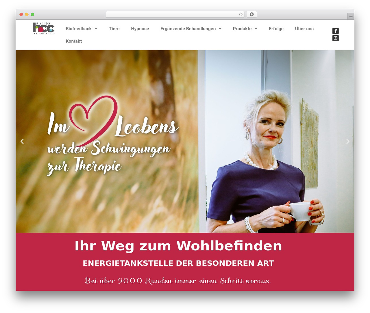 Hello Elementor WordPress theme - hcc-leoben.at