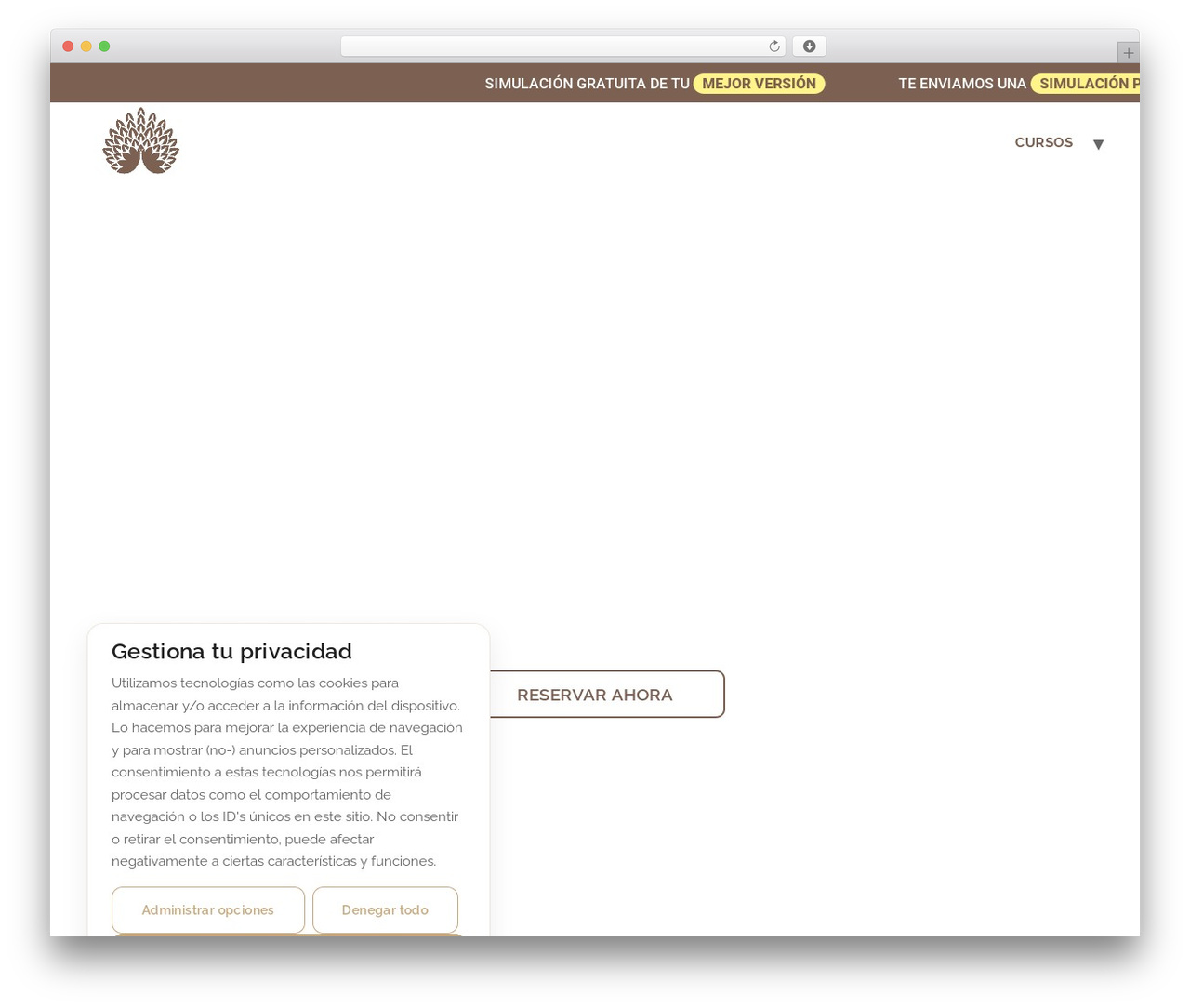 Hello Elementor WordPress theme - katerinamicroreal.com