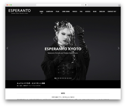 Elated core WordPress plugin - studio-esperanto.com