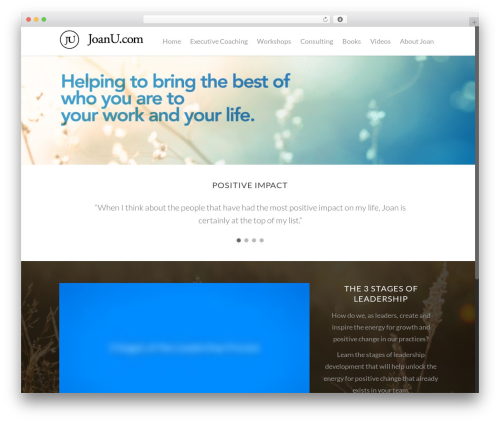 WordPress theme Asher - joanu.com