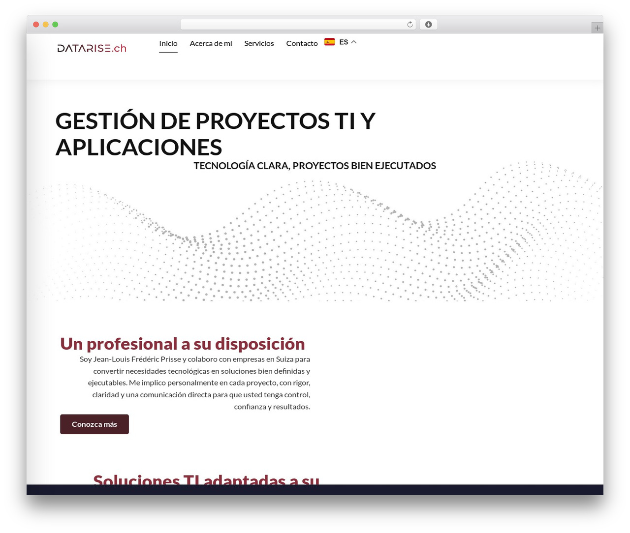 Hello Elementor Child WordPress website theme - datarise.ch