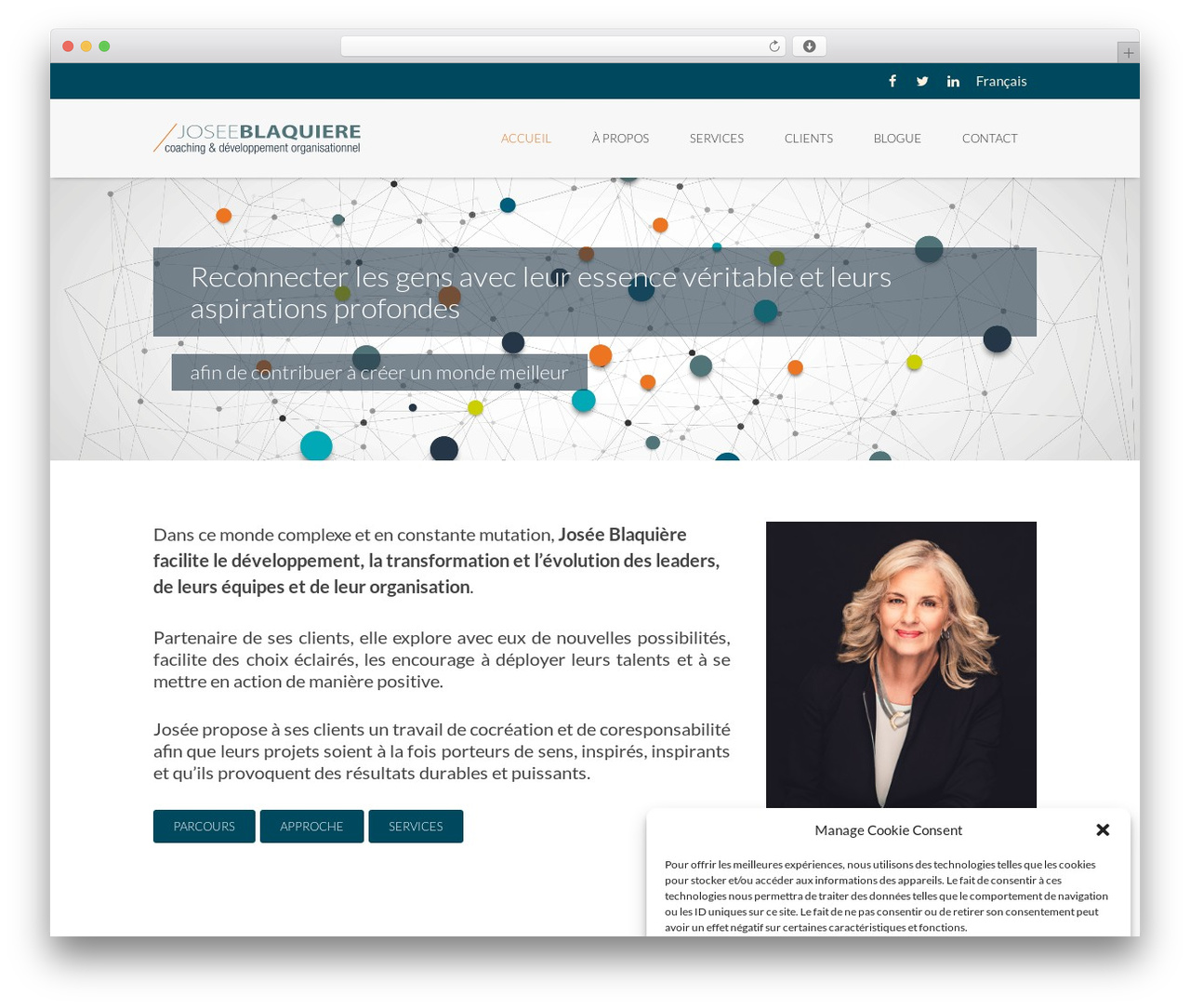Micron WordPress theme - joseeblaquiere.com
