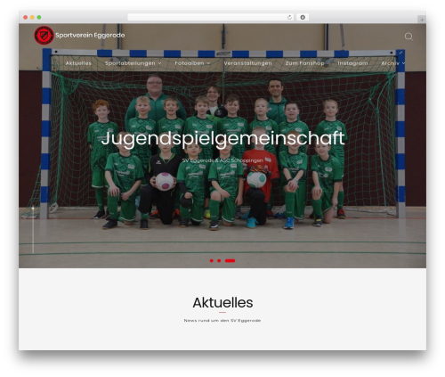 Include Fussball.de Widgets (include-fussball-de-widgets) free WordPress plugin - sv-eggerode.de