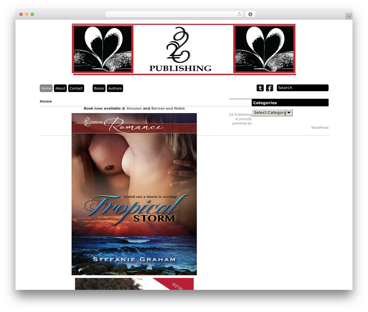 Grid Theme Responsive WP theme - 2spublishing.com