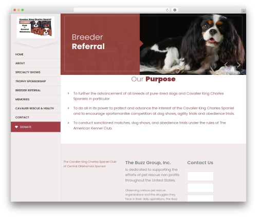 Buzz To The Rescues theme WordPress - cavalierclubofoklahoma.com